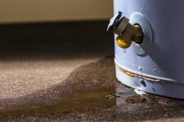 Best Water damage restoration near me  in Riverton, UT