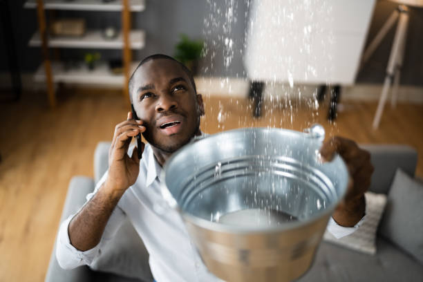 Best Fire Damage Restoration  in Riverton, UT