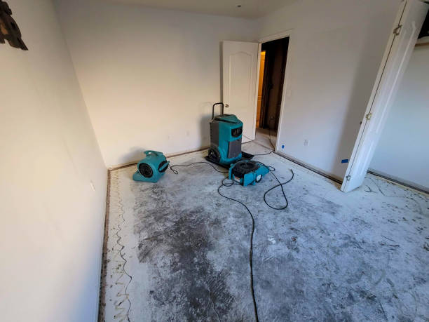 Best Water damage restoration near me  in Riverton, UT