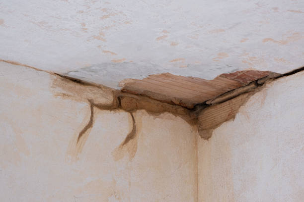 Best Ceiling water damage repair  in Riverton, UT