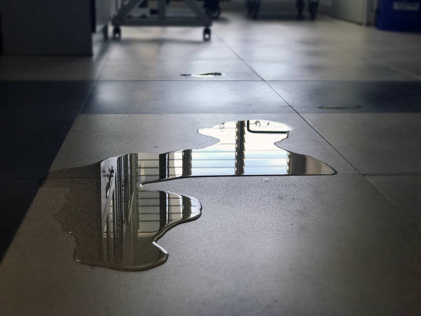 Best Professional water damage repair  in Riverton, UT