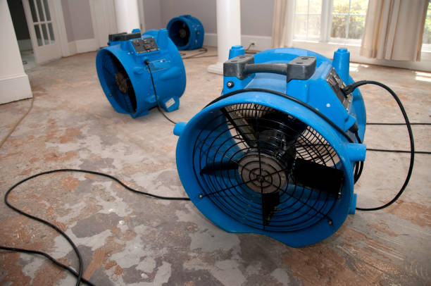 Professional Water damage restoration in UT