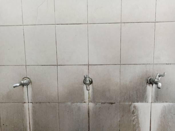 Best Water damage restoration cost  in Riverton, UT