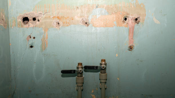 Best Water damage restoration process  in Riverton, UT