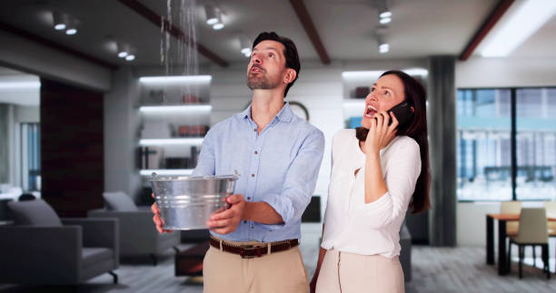 Best Sewage cleanup and water damage restoration  in Riverton, UT