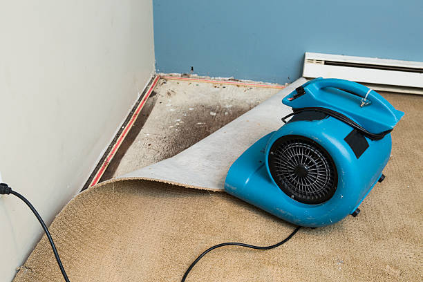 Best Carpet water damage restoration  in Riverton, UT